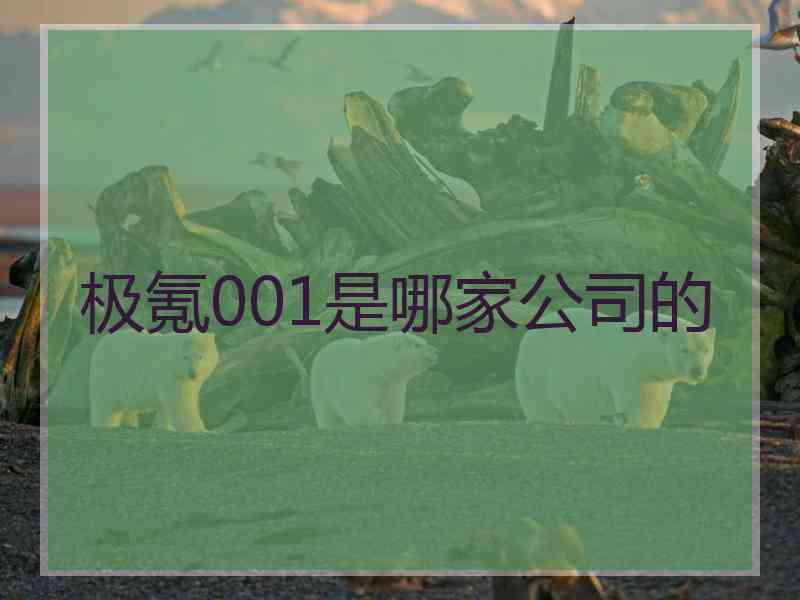 极氪001是哪家公司的