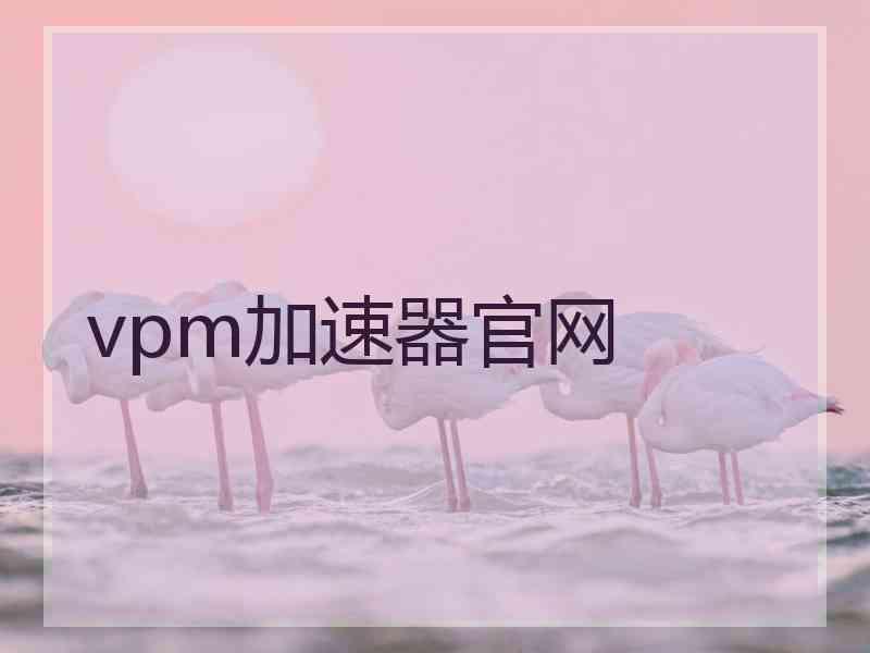 vpm加速器官网