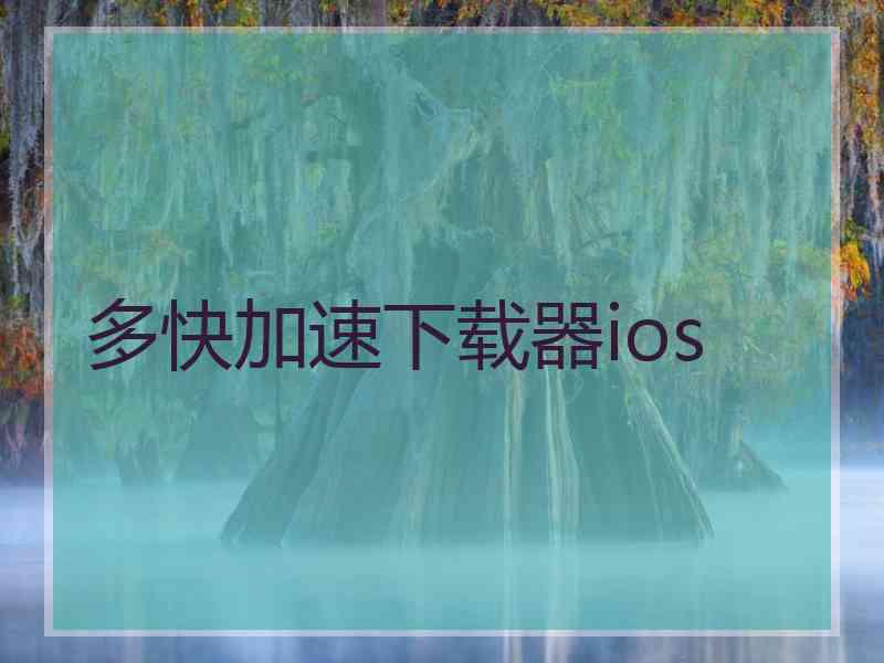 多快加速下载器ios