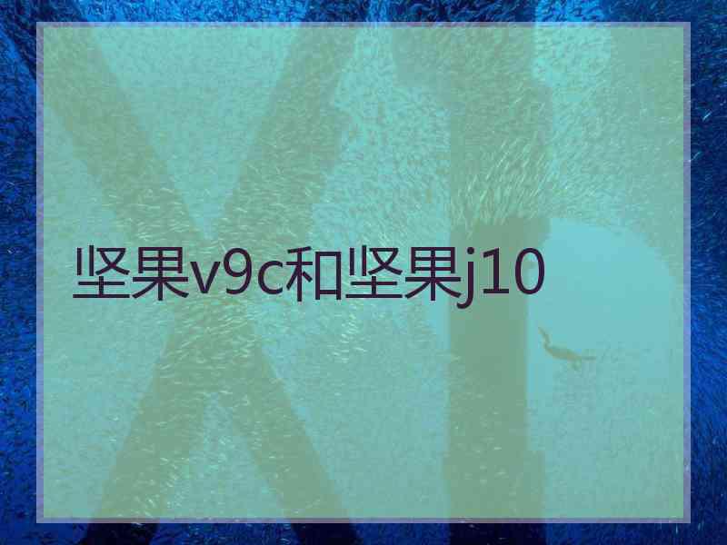 坚果v9c和坚果j10