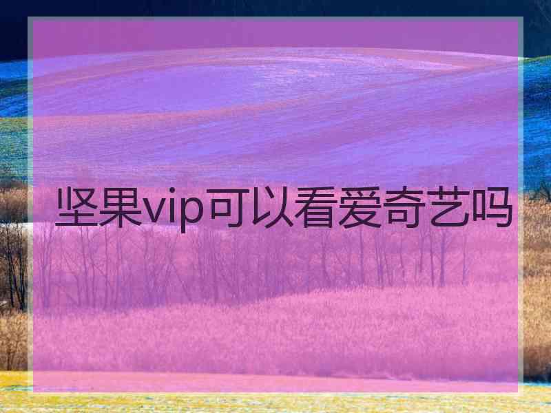 坚果vip可以看爱奇艺吗