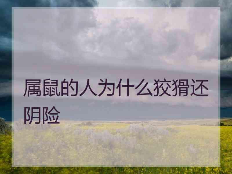 属鼠的人为什么狡猾还阴险