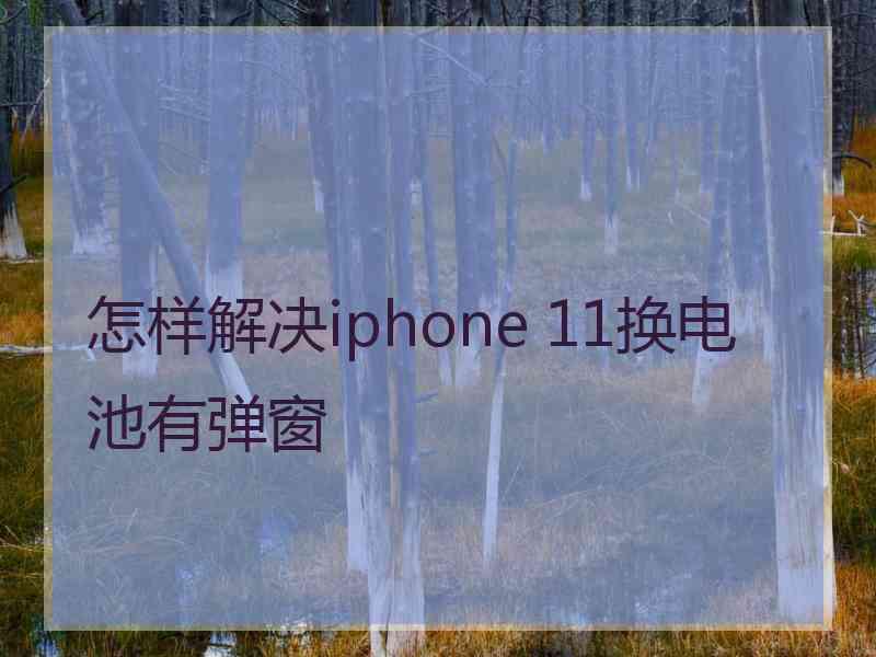 怎样解决iphone 11换电池有弹窗
