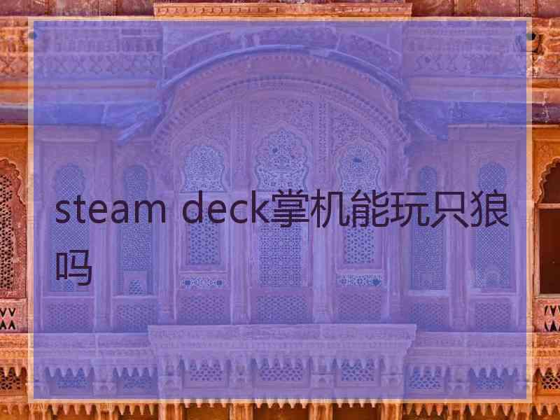 steam deck掌机能玩只狼吗