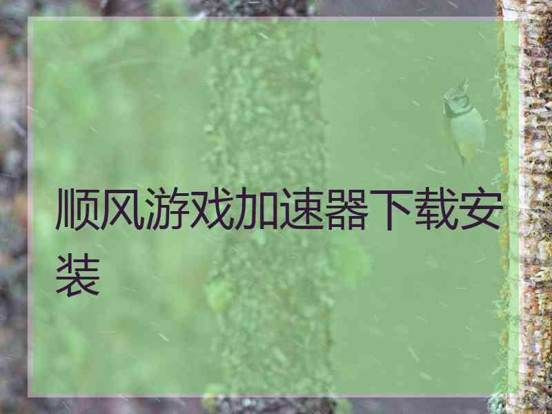 顺风游戏加速器下载安装