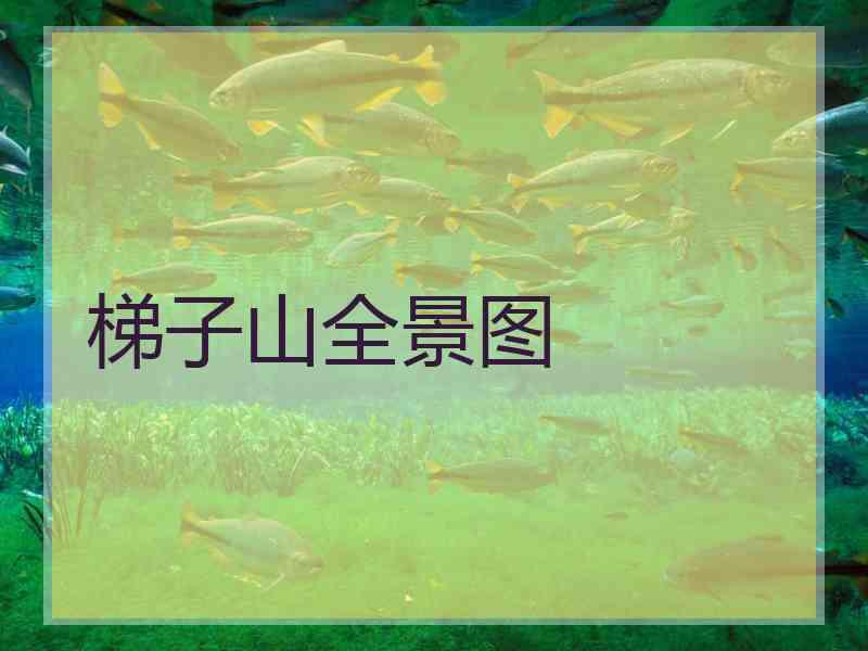 梯子山全景图