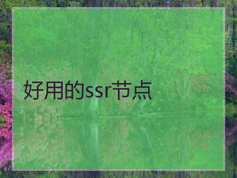 好用的ssr节点