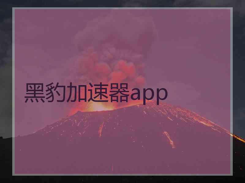 黑豹加速器app