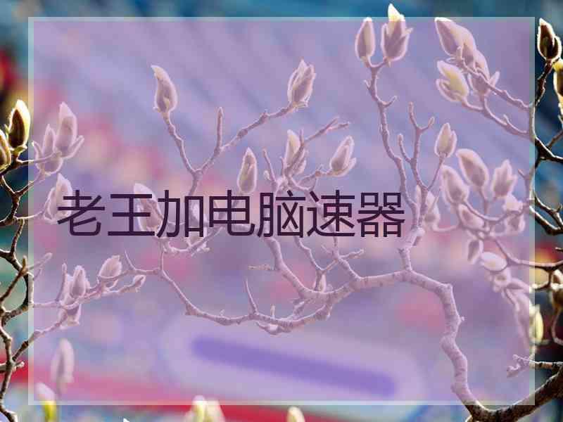 老王加电脑速器