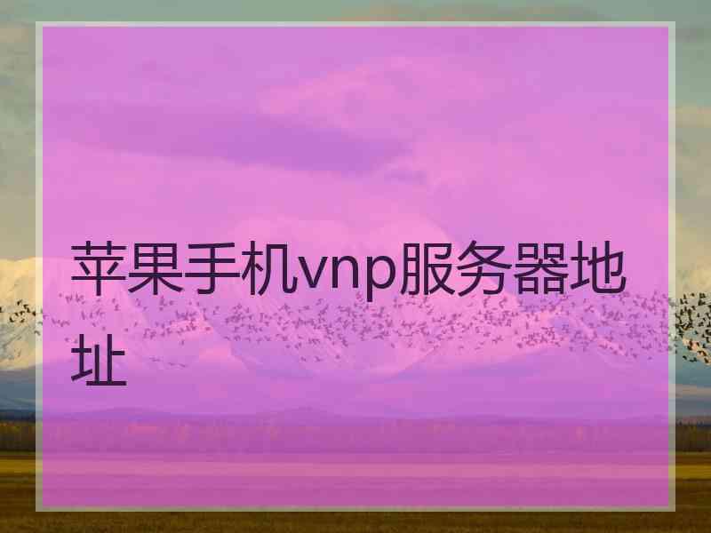 苹果手机vnp服务器地址