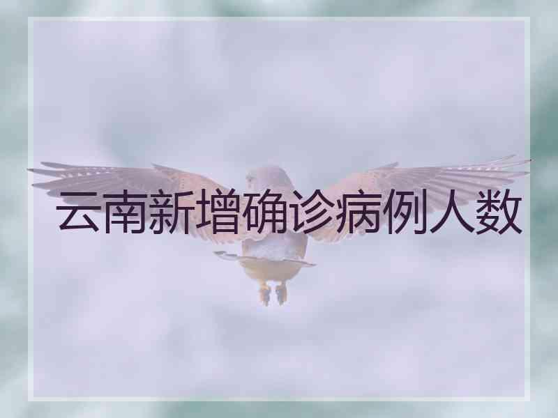 云南新增确诊病例人数