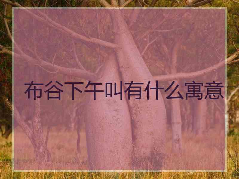 布谷下午叫有什么寓意