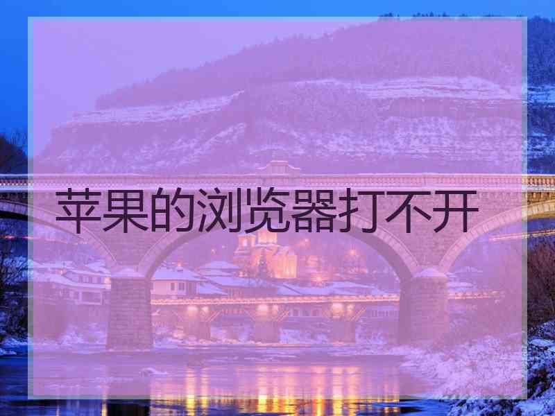 苹果的浏览器打不开