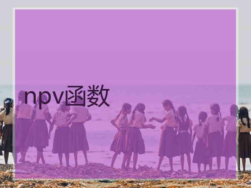 npv函数