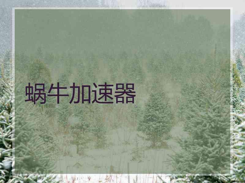 蜗牛加速器