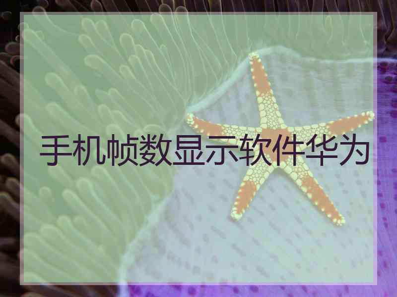 手机帧数显示软件华为