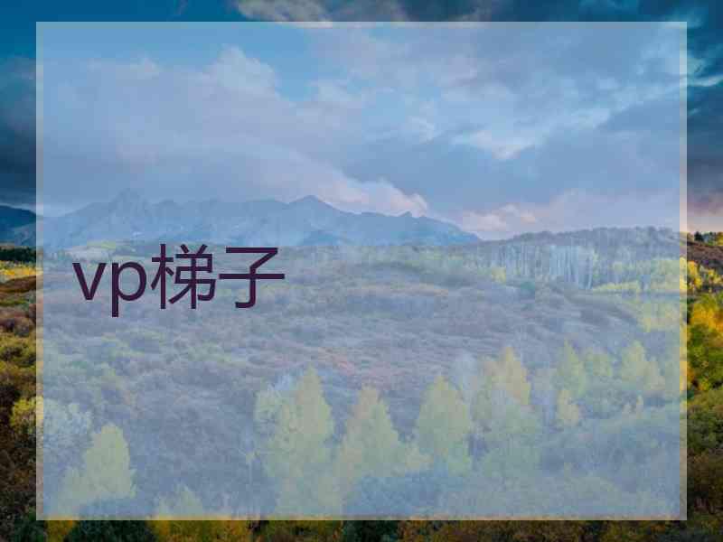 vp梯子
