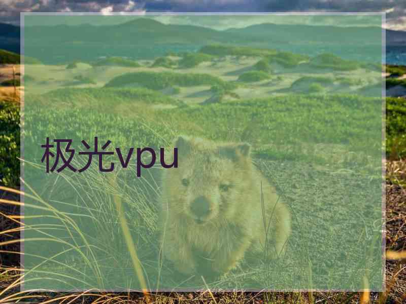 极光vpu