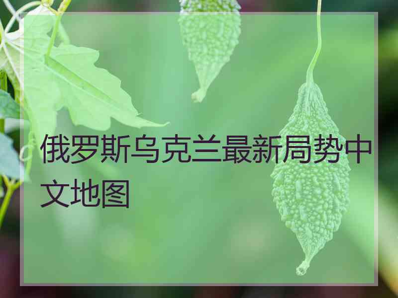 俄罗斯乌克兰最新局势中文地图
