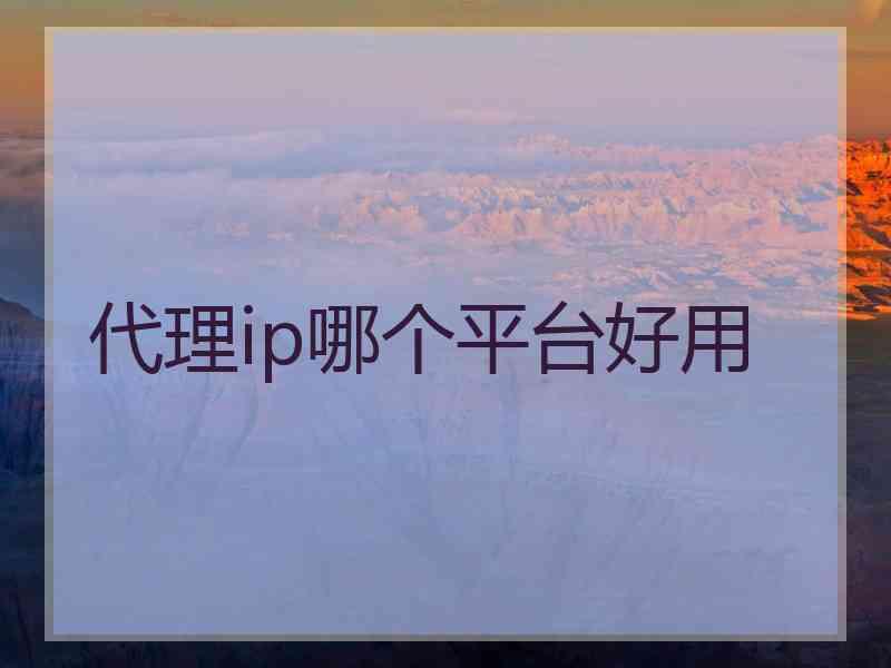 代理ip哪个平台好用