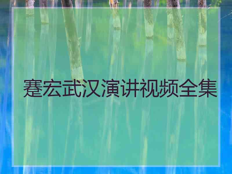 蹇宏武汉演讲视频全集