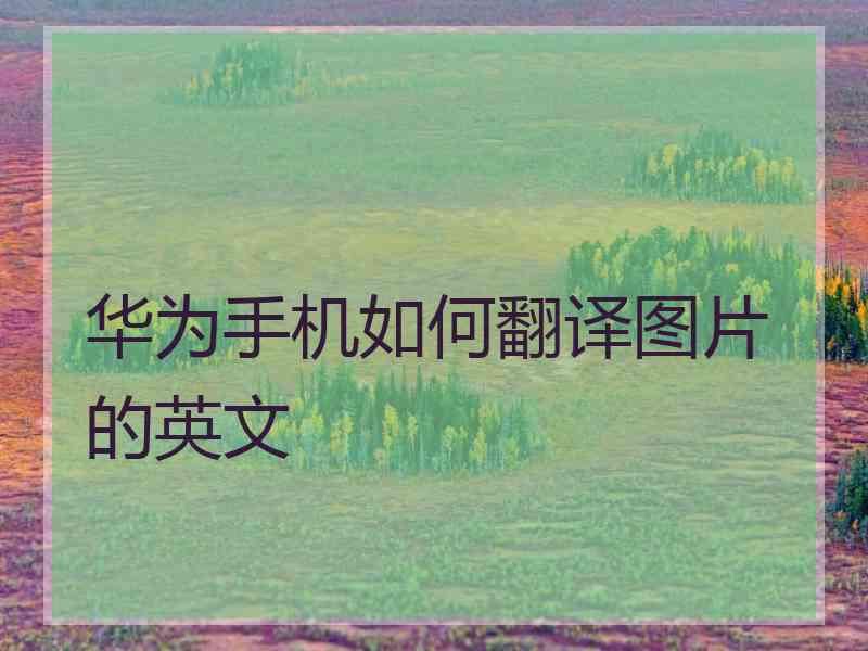 华为手机如何翻译图片的英文