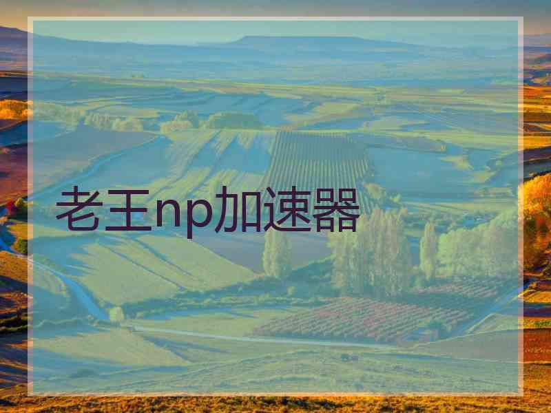 老王np加速器