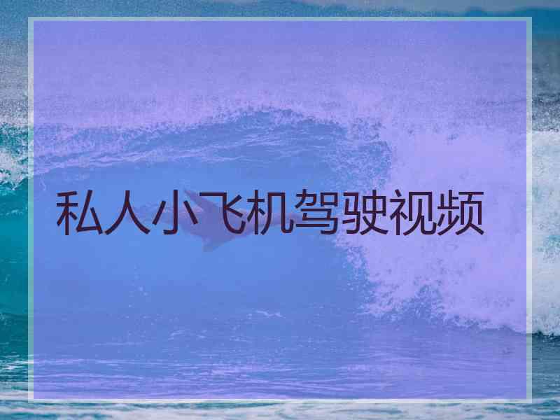 私人小飞机驾驶视频