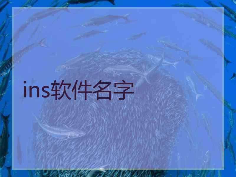 ins软件名字
