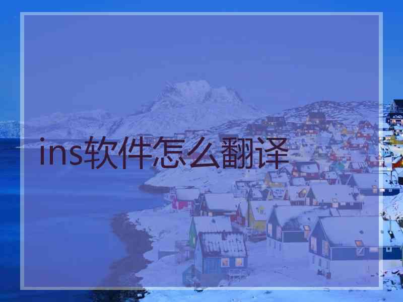 ins软件怎么翻译
