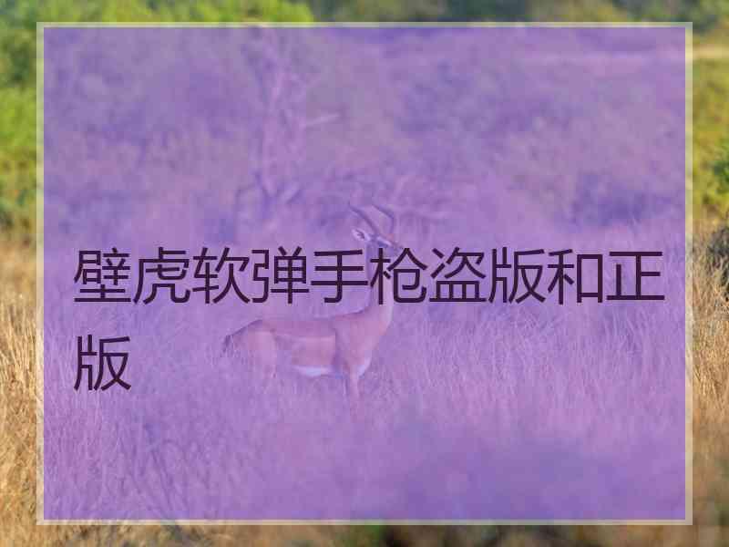 壁虎软弹手枪盗版和正版