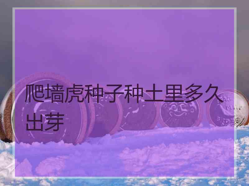 爬墙虎种子种土里多久出芽