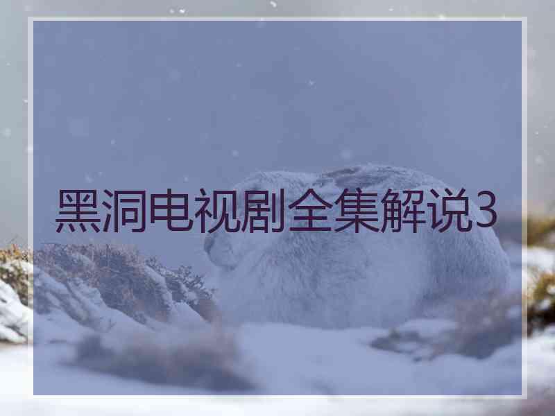 黑洞电视剧全集解说3