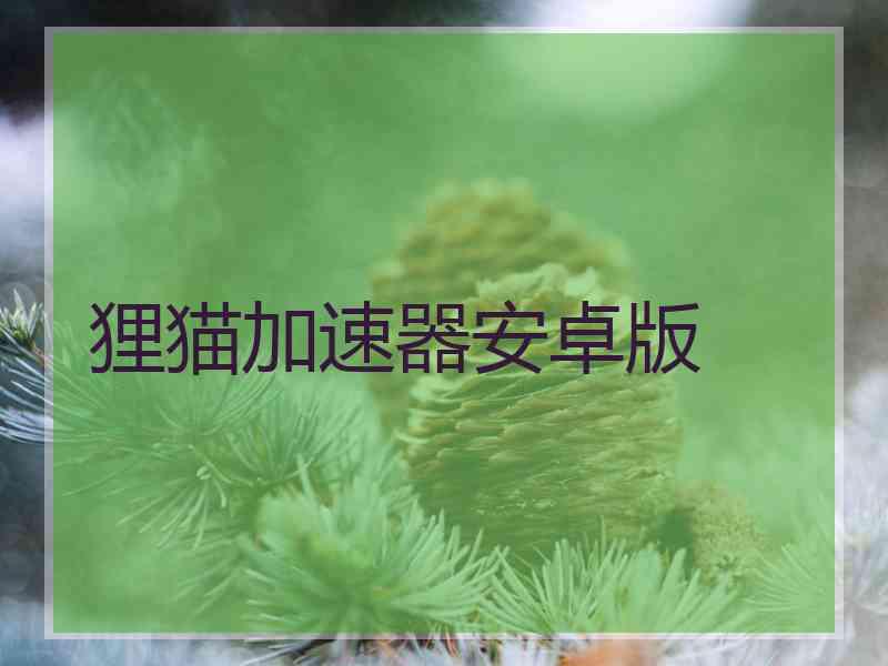 狸猫加速器安卓版