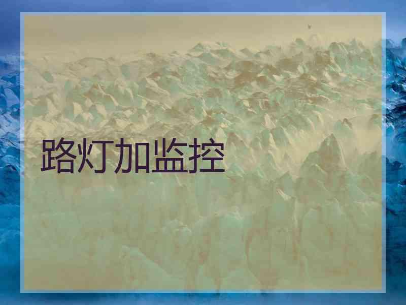 路灯加监控
