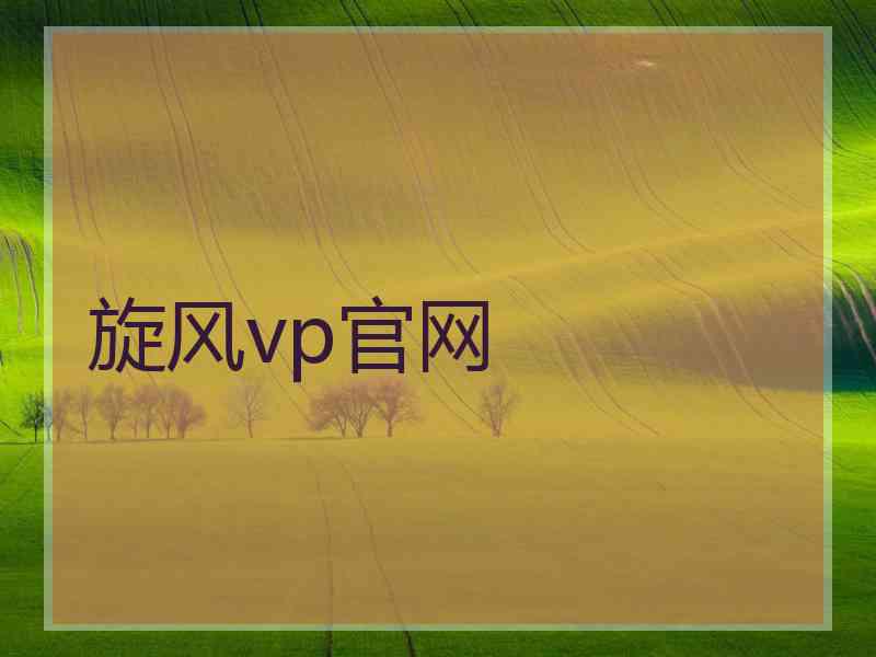 旋风vp官网