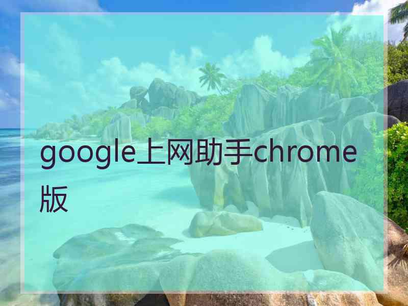 google上网助手chrome版