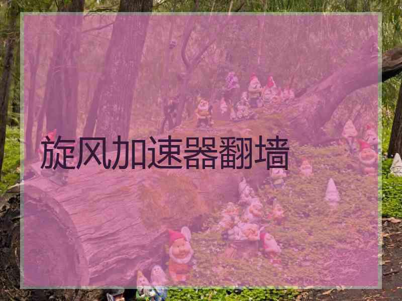 旋风加速器翻墙