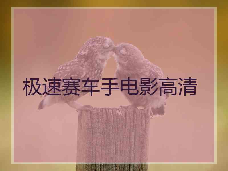 极速赛车手电影高清