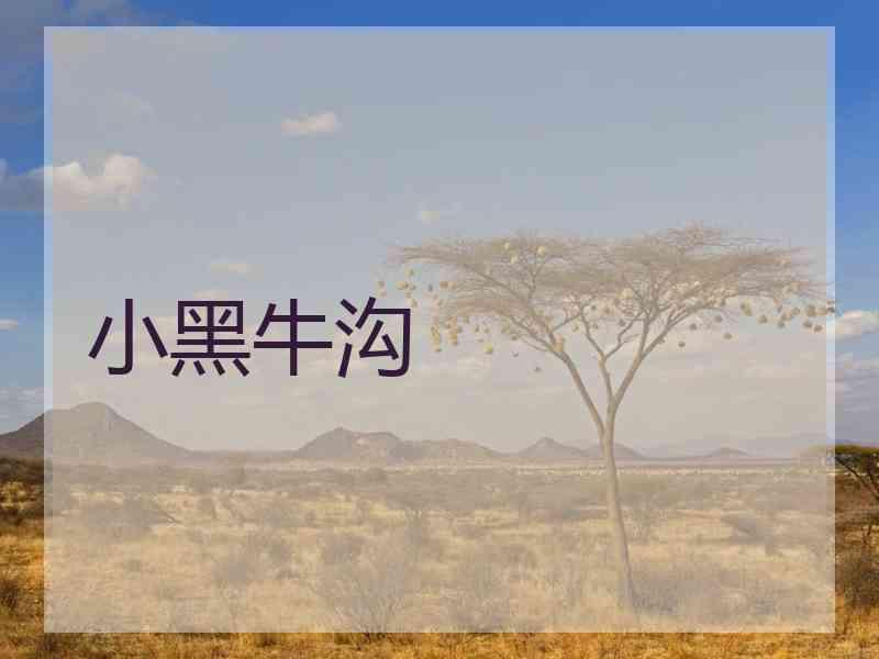 小黑牛沟