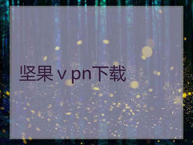 坚果ⅴpn下载