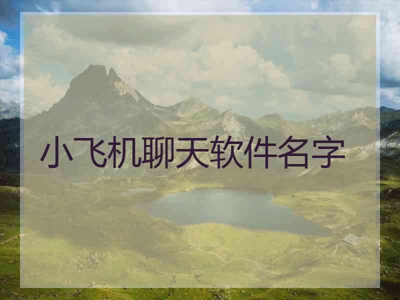 小飞机聊天软件名字