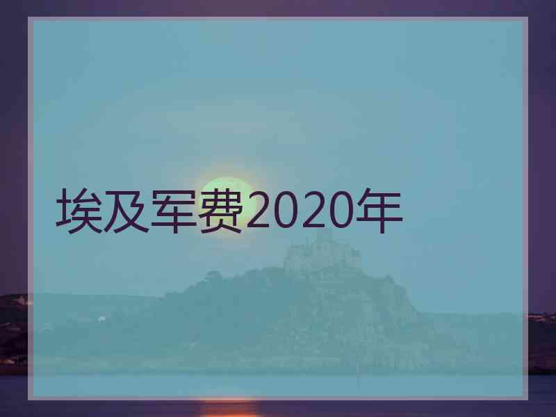 埃及军费2020年