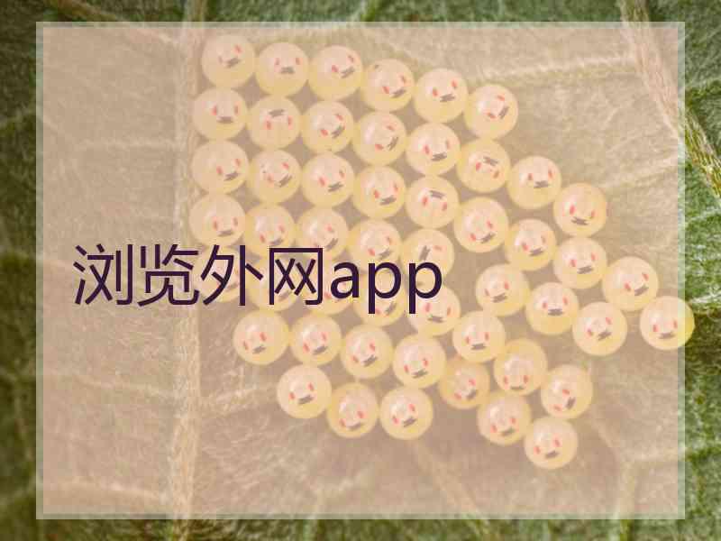 浏览外网app