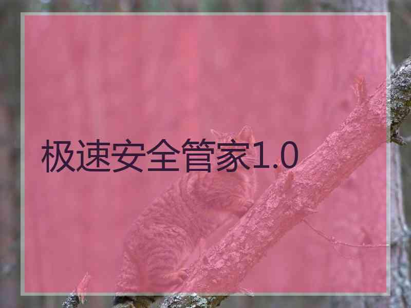极速安全管家1.0