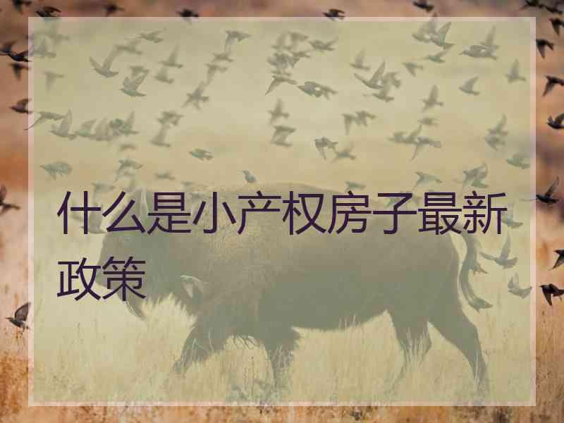什么是小产权房子最新政策