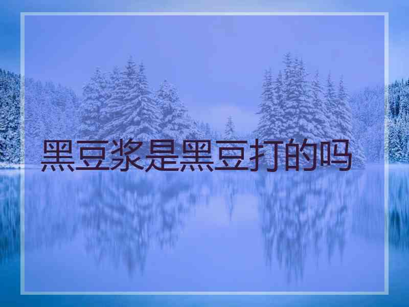 黑豆浆是黑豆打的吗
