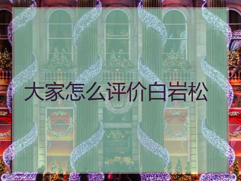 大家怎么评价白岩松