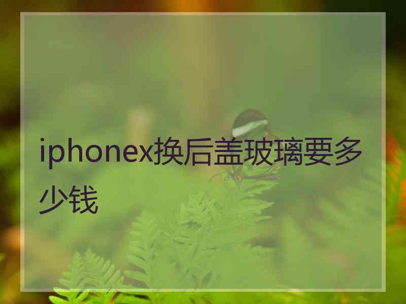 iphonex换后盖玻璃要多少钱