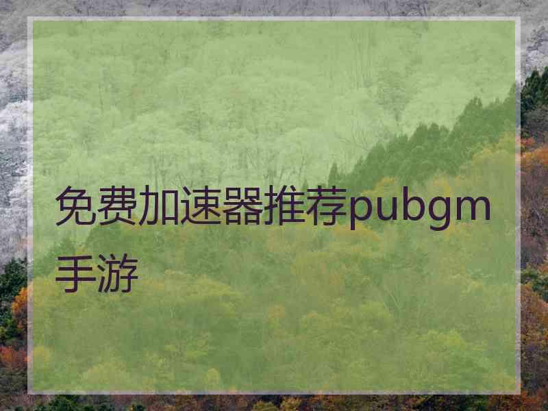 免费加速器推荐pubgm手游
